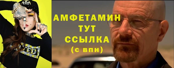 твердый Протвино