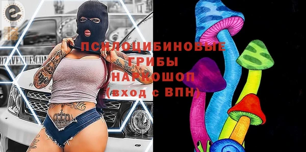 мяу мяу мука Аркадак