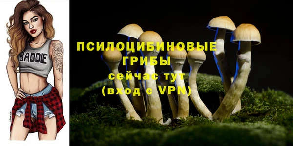 мяу мяу мука Аркадак